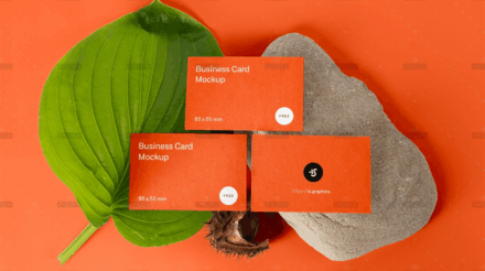 demo-attachment-1632-5q71up9s