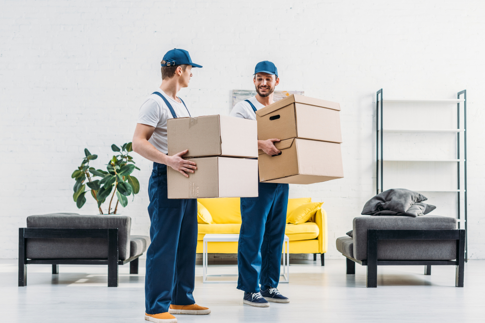 Two,Movers,In,Uniform,Carrying,Cardboard,Boxes,In,Modern,Apartment